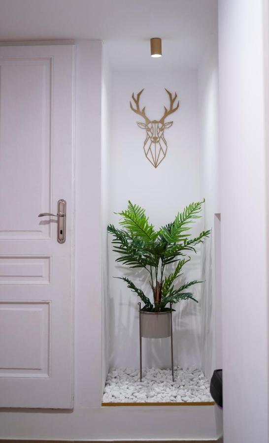 Coban Residence - A3 - Scandinavian Apartment Брашов Екстер'єр фото
